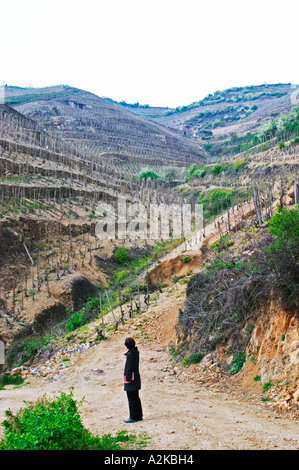 La chapelle au sommet de la colline, la Chapelle vignoble, dans l'avant-plan Les Bessards. Une femme en noir à la recherche vers le haut de la colline. L'Ermitage vignes sur la colline derrière la ville de Tain-l'Hermitage, sur la colline en pente raide, en terrasses en pierre. Parfois orthographié Ermitage. Tain l'Hermitage, Drôme, Drôme, France, Europe Banque D'Images