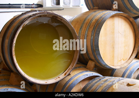 Des fûts de chêne pour la fermentation et le vieillissement du vin blanc. Un baril a la fin en bois retiré et remplacé par un plexi pour permettre le contrôle du vin ou à l'intérieur doit. Domaine Yves Cuilleron, Chavanay, Ampuis, Rhône, France, Europe Banque D'Images