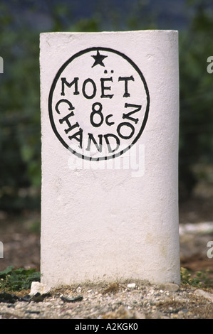 Moet et Chandon Epernay champagne Vignoble France Banque D'Images