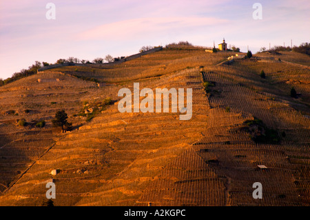 La chapelle au sommet de la colline, vu de l'autre côté de la rivière à Tournon. L'Ermitage vignes sur la colline derrière la ville de Tain-l'Hermitage, sur la colline en pente raide, en terrasses en pierre. Parfois orthographié Ermitage. Tain l'Hermitage, Drôme, Drôme, France, Europe Banque D'Images