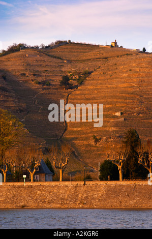 La chapelle au sommet de la colline, vu de l'autre côté de la rivière à Tournon. Avion platane arbres au bord de l'eau. L'Ermitage vignes sur la colline derrière la ville de Tain-l'Hermitage, sur la colline en pente raide, en terrasses en pierre. Parfois orthographié Ermitage. Tain l'Hermitage, Drôme, Drôme, France, Europe Banque D'Images