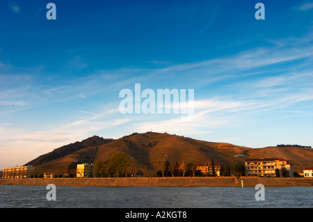 Vue sur le Rhône à Tain. L'Ermitage vignes sur la colline derrière la ville de Tain-l'Hermitage, sur la pente raide Banque D'Images