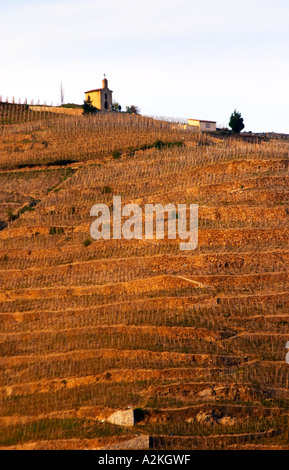 Vue sur le Rhône à Tain. La chapelle au sommet de la colline. L'Ermitage vignes sur la colline derrière la ville de Tain-l'Hermitage, sur la colline en pente raide, en terrasses en pierre. Parfois orthographié Ermitage. Tain l'Hermitage, Drôme, Drôme, France, Europe Banque D'Images