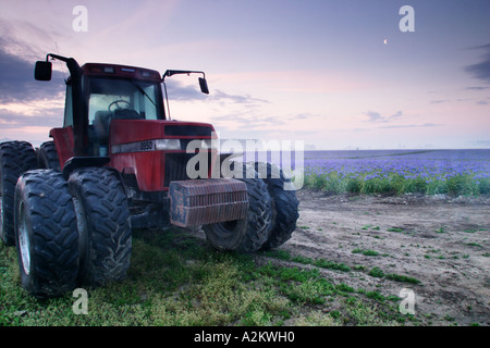 Tracteur à côté de domaine de l'iris bleu sur matin brumeux Mount Vernon de la Skagit Skagit Comté Washington USA Banque D'Images