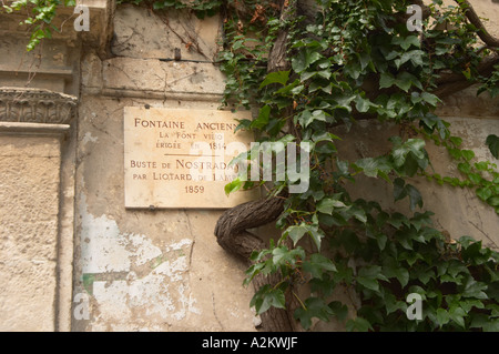 Plaque commémorative en panneau disant fontaine ancienne, la vieille fontaine, la Font Vieio, construit en 1814, et le buste de Nostradamus par Liotard de Lambesc en 1859. Remy Saint Rémy de Provence, Bouches du Rhône, France, Europe Banque D'Images