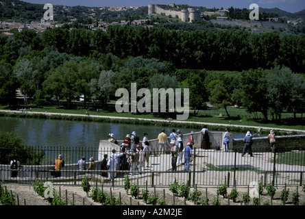 Europe, France, Provence, Avignon. Rocher des Doms, vignoble et Rhône Banque D'Images