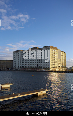 Spillers désaffectée à côté de la Mills Millenium Royal Victoria Dock East London UK Banque D'Images