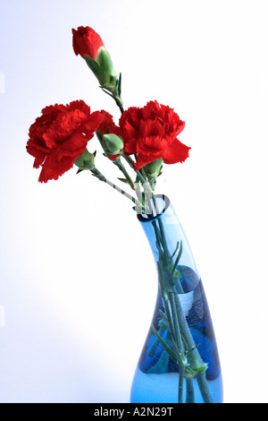 Des œillets rouges (Dianthus caryophyllus) et les bourgeons en bleu vase en verre. Banque D'Images