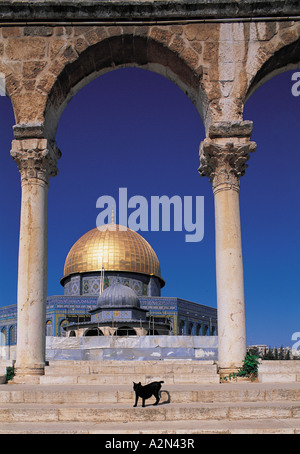 Dôme de mosquée vue par archway, Dôme du Rocher, Jérusalem, Israël Banque D'Images