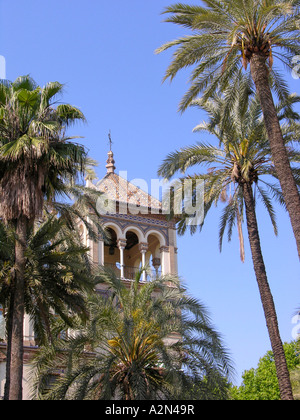 Palmiers en face de l'hôtel, l'hôtel Alfonso XIII, Séville, Espagne Banque D'Images