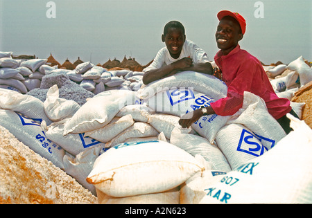 Le sel recueilli à partir du Lac Retba ou Lac Rose ainsi appelé en raison de sa couleur rose au Sénégal Banque D'Images