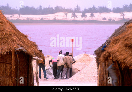 Les hommes de creuser le sel recueilli à partir du fond de lac peu profond Lac Retba ou Lac Rose Sénégal Banque D'Images