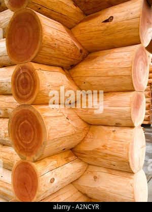 Un détail d'un log cabin en construction près du lac Shuswap Banque D'Images