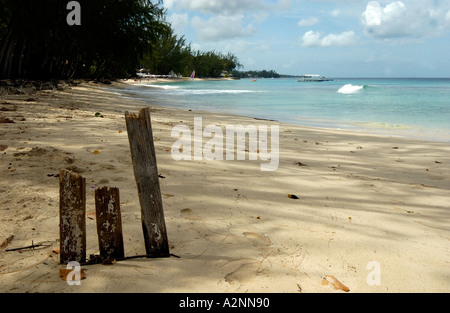 Les souches de Cricket maison faite de bois de dérive sur une plage des Caraïbes, la Barbade St James West Indies Banque D'Images