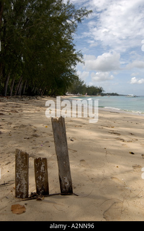 Les souches de Cricket maison faite de bois de dérive sur une plage des Caraïbes, la Barbade St James West Indies Banque D'Images