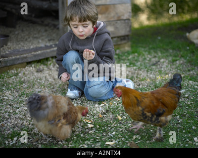 Poules d'être nourris à la main par boy sur fermette en face de bois chuck house Banque D'Images