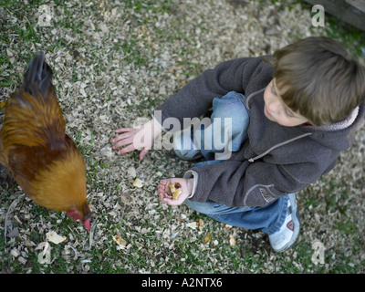 Poules d'être nourris à la main par boy sur fermette en face de bois chuck house plongée des Banque D'Images