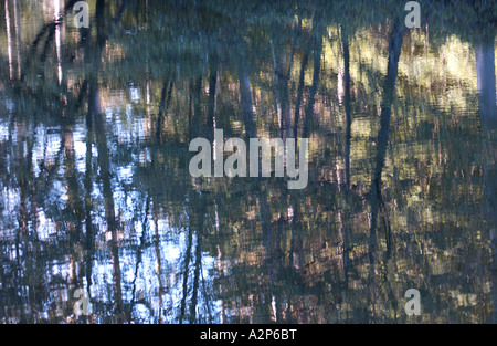 La réflexion de l'eau sur la rivière Thouet, France Banque D'Images