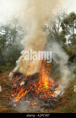 Hausse de la fumée et du feu de brûler de tas de branches Banque D'Images