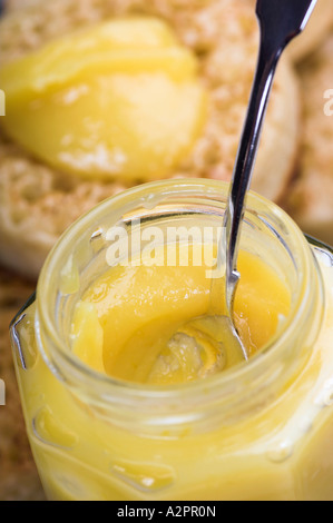 Le lait caillé de citron fait maison et les crumpets Banque D'Images