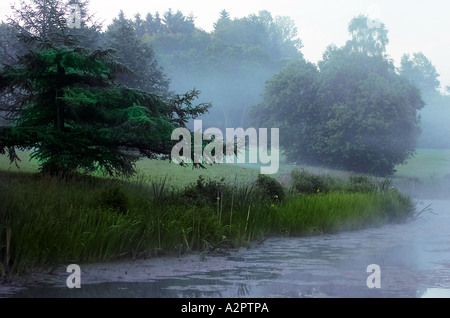 Tôt le matin en étang. Le brouillard. Banque D'Images