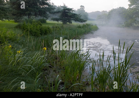 Tôt le matin en étang. Le brouillard. Banque D'Images
