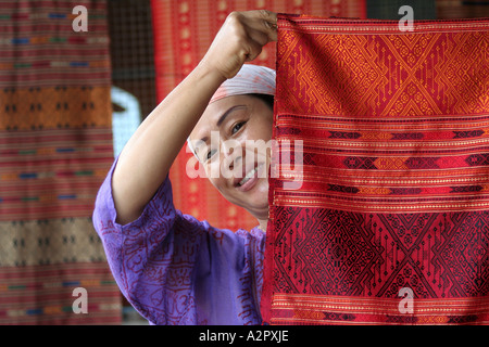 Affichage de la soie, Chiang Mai, Thaïlande Banque D'Images