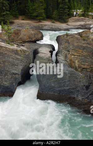 Affichage des touristes pont naturel sur la rivière Kicking Horse British Columbia Canada Banque D'Images