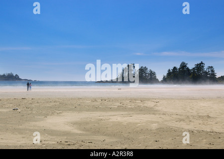 Beachcombers dans océan Pacifique de brume à Chesterman beach près de Tofino Vancouver Island British Columbia Canada Banque D'Images