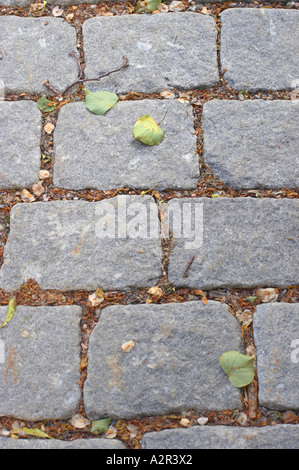 Close up de l'allée pavée, au Jardin botanique, Helsinki, Finlande, l'Union européenne. Banque D'Images