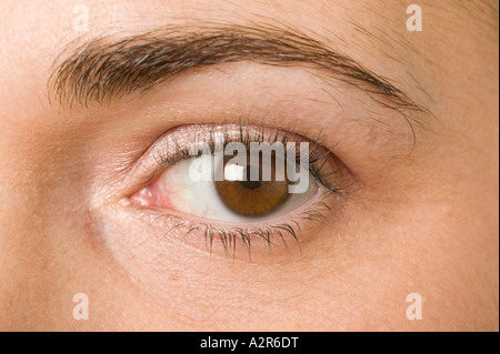 Extreme close up of womans brown eye Banque D'Images