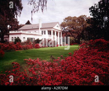 Fleurs d'azalée rouge brillant sur la trame Orton Plantation House qui est un manoir historique antebellum en Caroline du Nord Banque D'Images