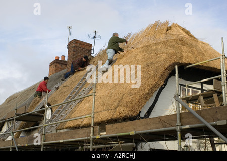 Artisans ruraux sur le toit de chaume cottage près de Stratford UK Banque D'Images