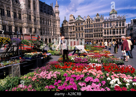 Fleurs La Grand Place Grand Marché Bruxelles Grand Place Banque D'Images