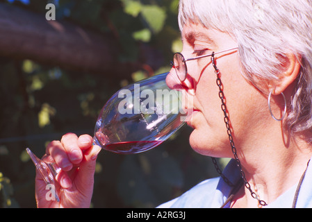 Dégustateur de Vin Rouge dégustation dans un vignoble de la vallée de Cowichan, sur l'île de Vancouver, BC, British Columbia, Canada Banque D'Images