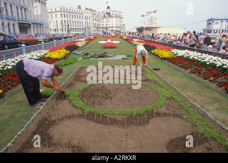 Jardiniers Société de les planter en été de fleurs plantes à massifs de fleurs. Eastbourne East Sussex Angleterre Années 90 90s UK HOMER SYKES Banque D'Images