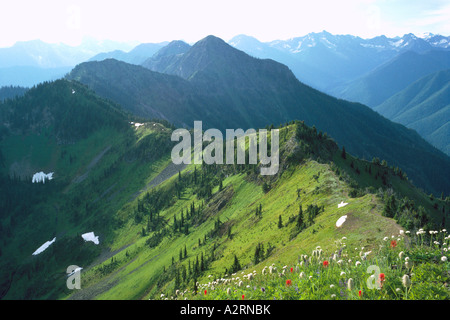 Vue sur les montagnes Selkirk et les forêts de conifères de l'Idaho pic dans la région de Kootenay, en Colombie-Britannique, Canada Banque D'Images