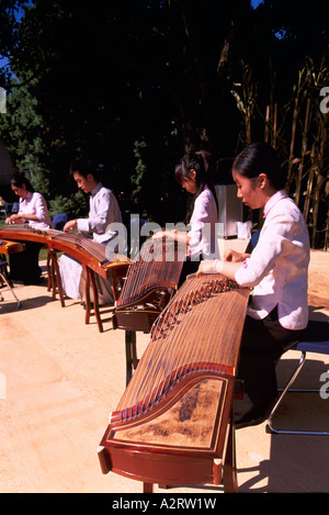 Musiciens orientaux cithare chinoise / harpe (aka Guzheng), Vancouver, BC, British Columbia, Canada Banque D'Images