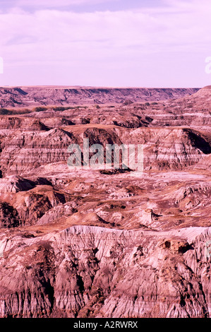 Les cheminées dans les Badlands, Canyon Horsethief, près de Drumheller, Alberta, Canada Banque D'Images