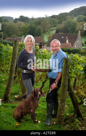 Un couple DANS LEUR VIGNOBLE SOMERSET UK Banque D'Images