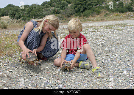 Chat tortue, marginated tortoise (Testudo marginata), tenant sur deux enfants, Grèce Banque D'Images