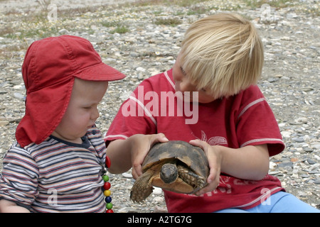 Chat tortue, marginated tortoise (Testudo marginata), contrôle par deux enfants, Grèce Banque D'Images