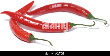 Le piment de cayenne, paprika (Capsicum annuum), three Chilli Peppers Banque D'Images