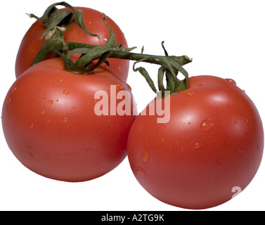 Jardin la tomate (Solanum lycopersicum, Lycopersicon esculentum), fruits Banque D'Images