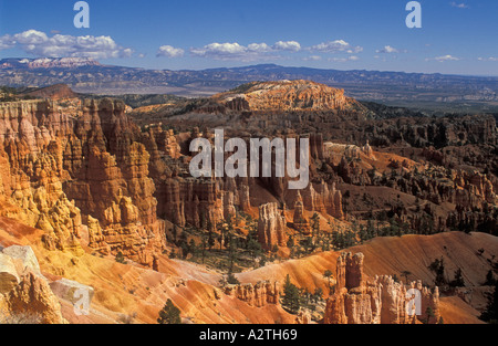 Grès rétroéclairé s Hoodoo et sapins de Douglas au lever du soleil dans l'Amphithéâtre de Bryce Canyon Utah USA United States of America Banque D'Images