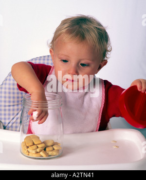 18 espèce de vieux tout-petit dans une chaise haute pour atteindre le baril en biscuit Banque D'Images