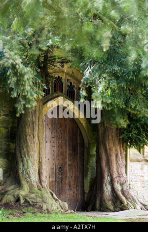 Ancien if flanquent le portail de l'église St Edwards Stow on the Wold Banque D'Images