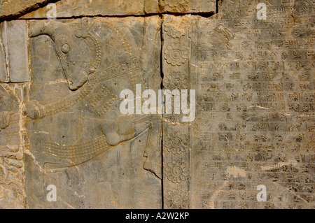 Un bas-relief dans le site archéologique de Persépolis, près de Shiraz, en Iran. Banque D'Images