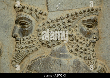 Bas-relief de soldats Perses dans le site archéologique de Persépolis, près de Shiraz, en Iran. Banque D'Images