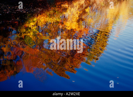Touche de couleur d'automne Banque D'Images